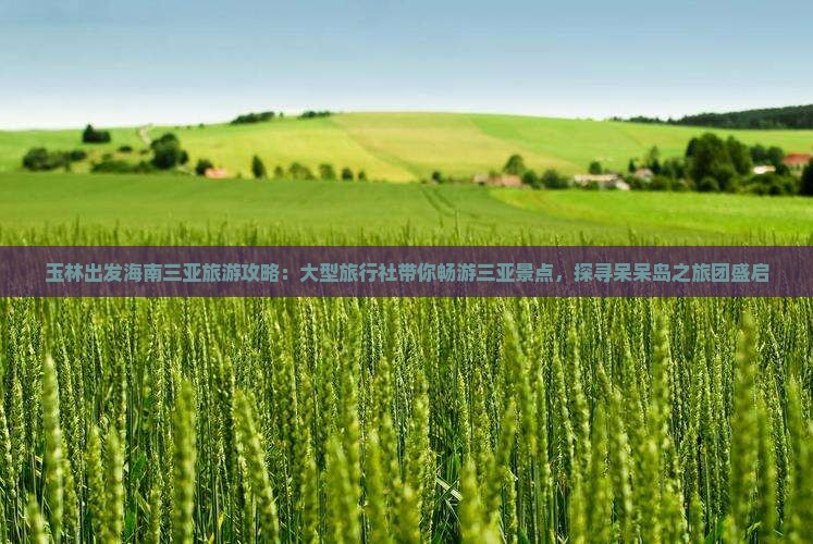 玉林出发海南三亚旅游攻略：大型旅行社带你畅游三亚景点，探寻呆呆岛之旅团盛启