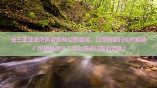 去三亚亚龙湾热带森林公园旅游，辽阳的旅行社有哪些？价格是多少？怎么安排行程最合适？
