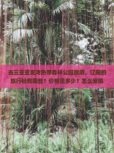 去三亚亚龙湾热带森林公园旅游，辽阳的旅行社有哪些？价格是多少？怎么安排行程最合适？
