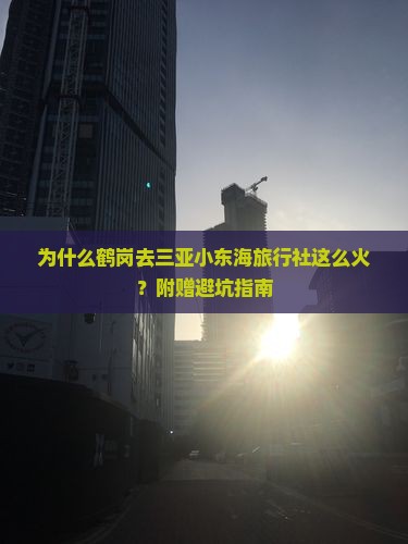 为什么鹤岗去三亚小东海旅行社这么火？附赠避坑指南
