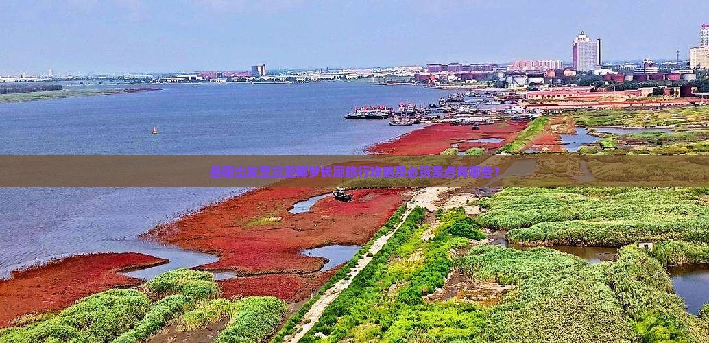 岳阳出发至三亚椰梦长廊旅行攻略及必玩景点有哪些？