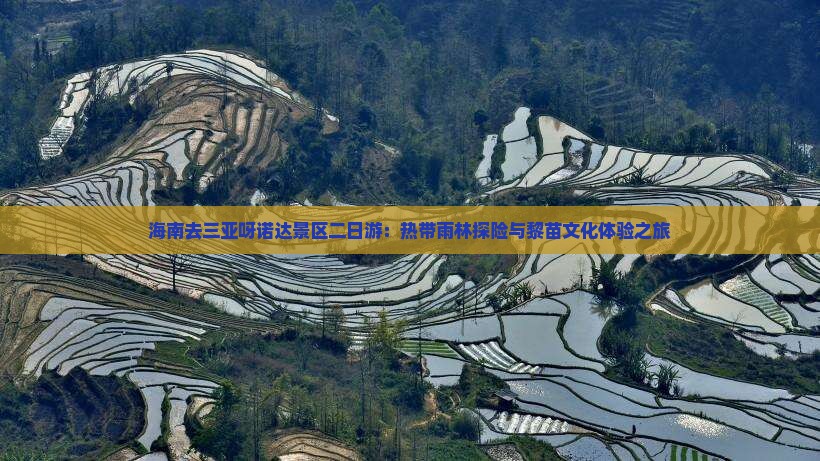 海南去三亚呀诺达景区二日游：热带雨林探险与黎苗文化体验之旅
