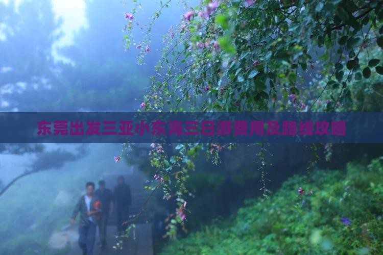 东莞出发三亚小东海三日游费用及路线攻略
