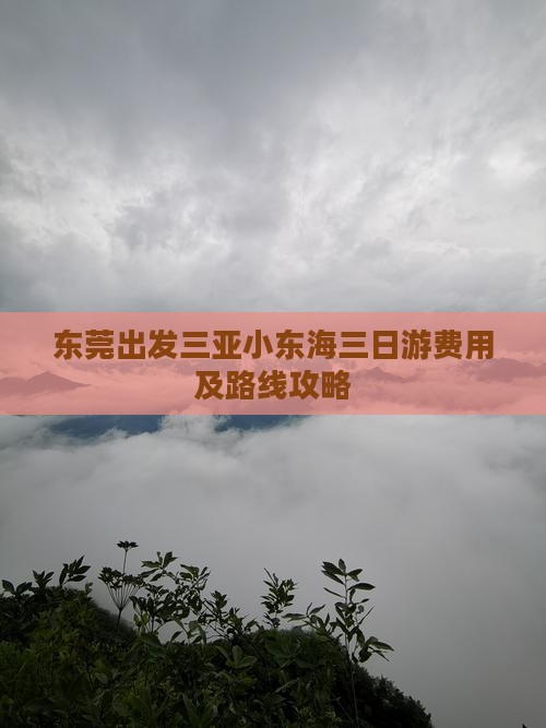 东莞出发三亚小东海三日游费用及路线攻略