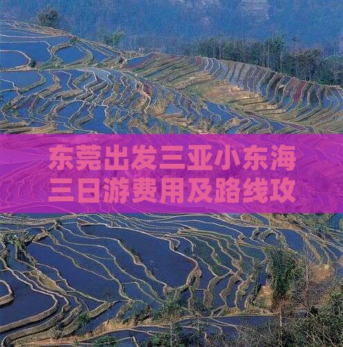 东莞出发三亚小东海三日游费用及路线攻略