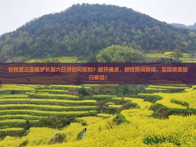 甘孜至三亚椰梦长廊六日游如何规划？避开痛点，抓住热词新词，实现完美旅行体验！