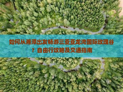 如何从湘潭出发畅游三亚亚龙湾国际玫瑰谷？自由行攻略及交通指南