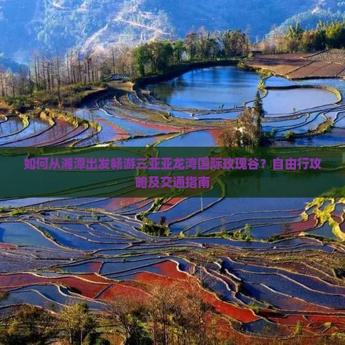 如何从湘潭出发畅游三亚亚龙湾国际玫瑰谷？自由行攻略及交通指南