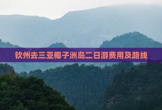 钦州去三亚椰子洲岛二日游费用及路线