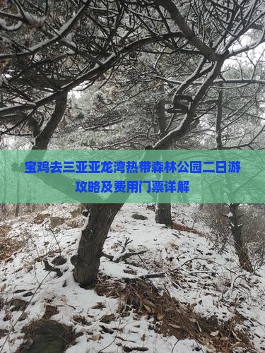 宝鸡去三亚亚龙湾热带森林公园二日游攻略及费用门票详解