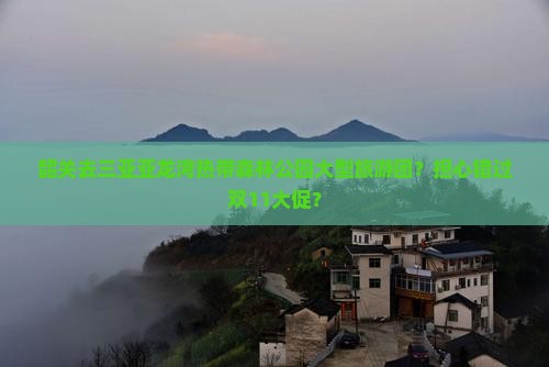 韶关去三亚亚龙湾热带森林公园大型旅游团？担心错过双11大促？