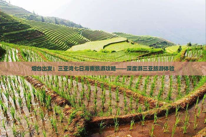 烟台出发：三亚湾七日海南旅游攻略——深度游三亚旅游体验