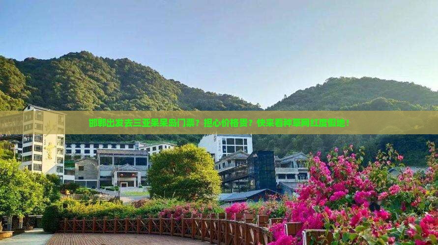 邯郸出发去三亚呆呆岛门票？担心价格贵？快来看种草网红度假地！