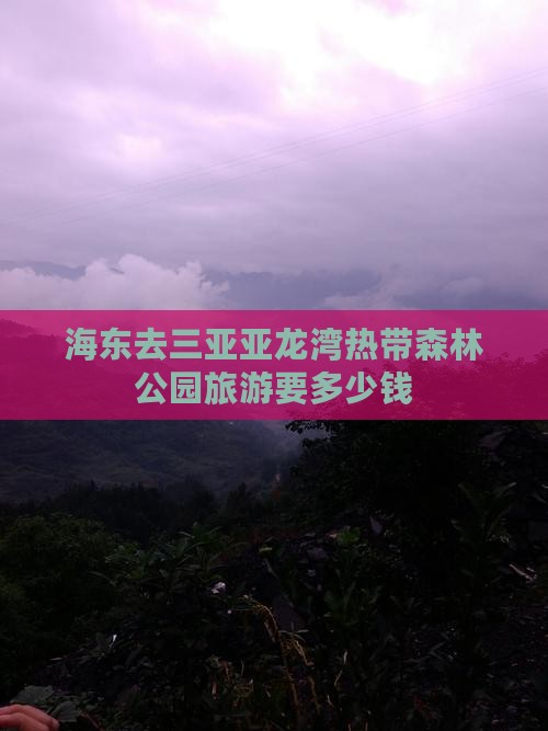 海东去三亚亚龙湾热带森林公园旅游要多少钱