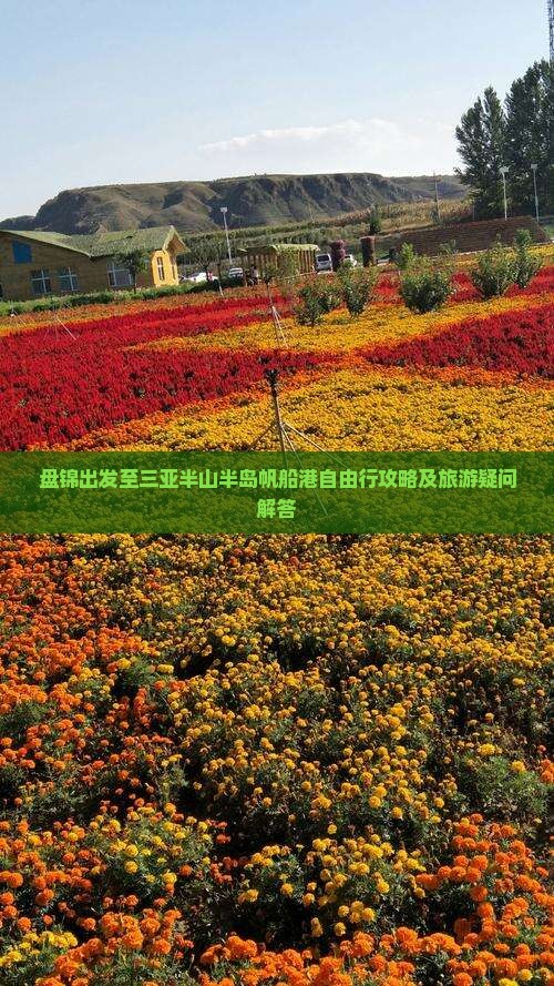 盘锦出发至三亚半山半岛帆船港自由行攻略及旅游疑问解答