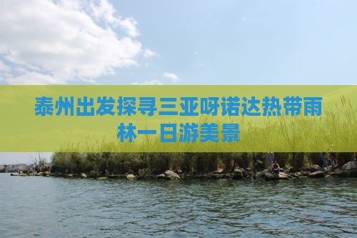 泰州出发探寻三亚呀诺达热带雨林一日游美景