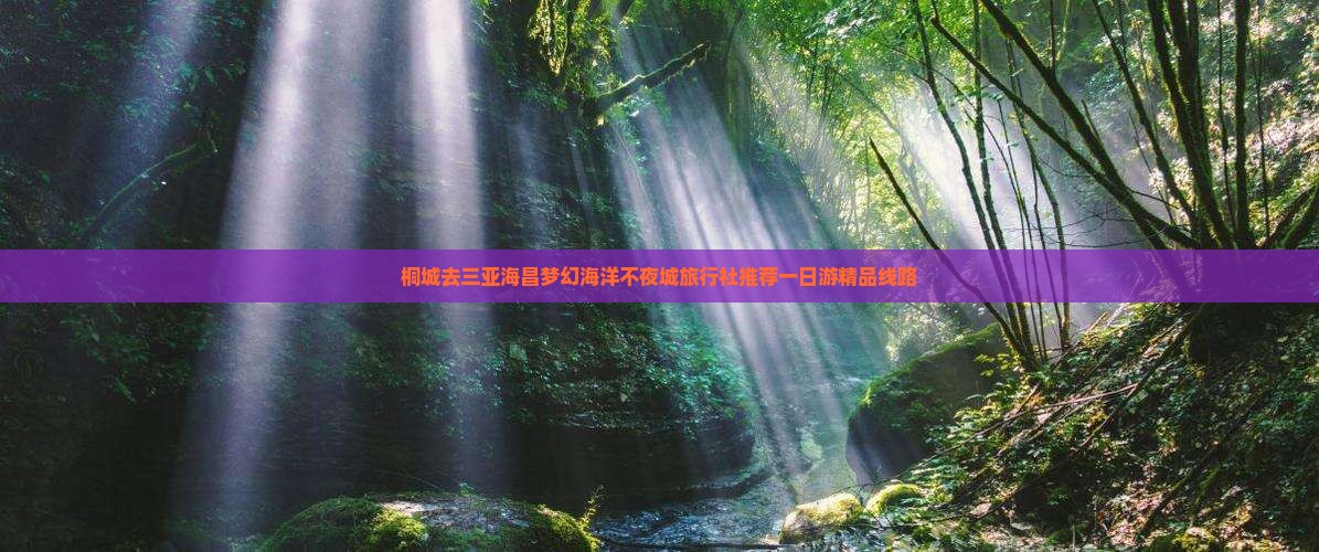 桐城去三亚海昌梦幻海洋不夜城旅行社推荐一日游精品线路