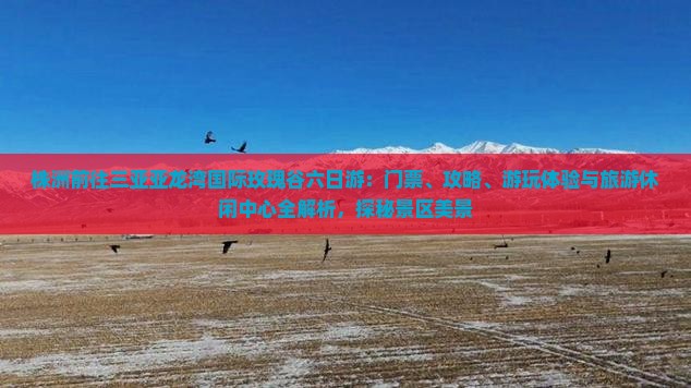 株洲前往三亚亚龙湾国际玫瑰谷六日游：门票、攻略、游玩体验与旅游休闲中心全解析，探秘景区美景