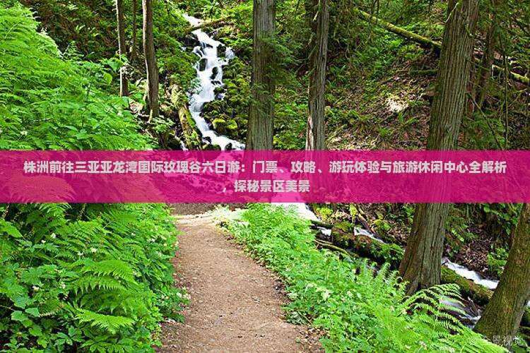 株洲前往三亚亚龙湾国际玫瑰谷六日游：门票、攻略、游玩体验与旅游休闲中心全解析，探秘景区美景