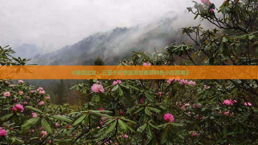 《曲靖出发：三亚千古情旅游攻略及特色小吃指南》
