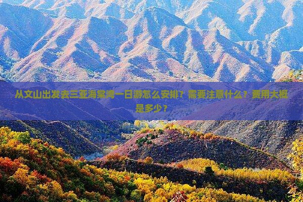 从文山出发去三亚海棠湾一日游怎么安排？需要注意什么？费用大概是多少？