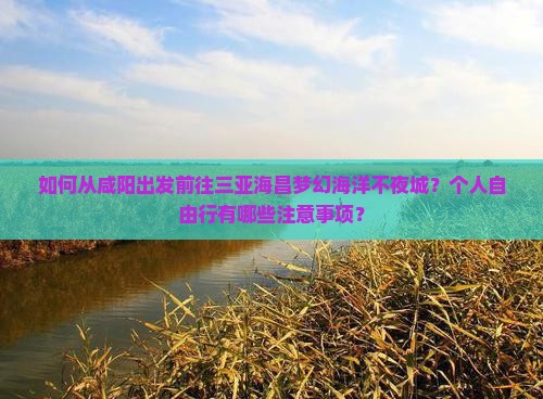 如何从咸阳出发前往三亚海昌梦幻海洋不夜城？个人自由行有哪些注意事项？