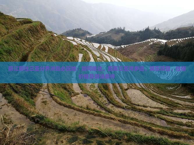 丽江前往三亚分界洲岛必玩地：如何抵达、距离三亚湾多远、娱乐项目、住宿价格及游泳条件
