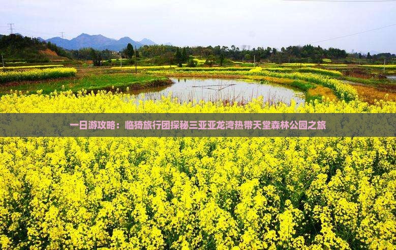 一日游攻略：临猗旅行团探秘三亚亚龙湾热带天堂森林公园之旅