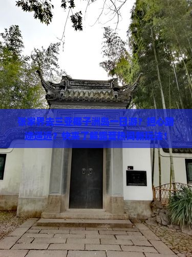张家界去三亚椰子洲岛一日游？担心路途遥远？快来了解露营热词新玩法！
