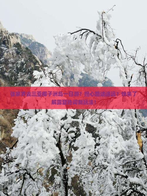 张家界去三亚椰子洲岛一日游？担心路途遥远？快来了解露营热词新玩法！