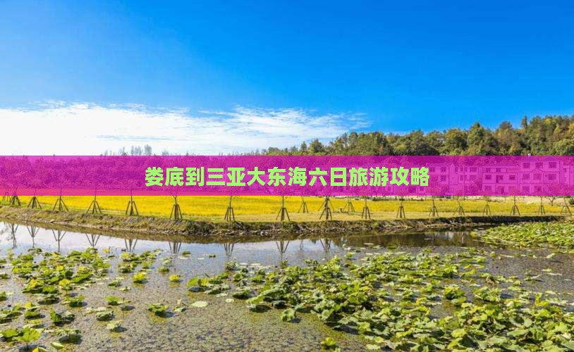 娄底到三亚大东海六日旅游攻略