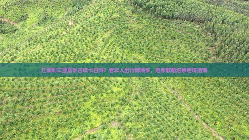 辽源到三亚崖洲古城七日游？老年人出行麻烦多，赶紧收藏这条避坑指南