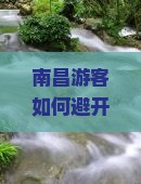 南昌游客如何避开人潮，选择三亚呀诺达景区的网红打卡地实现深度游？