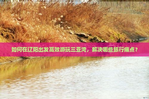如何在辽阳出发高效游玩三亚湾，解决哪些旅行痛点？