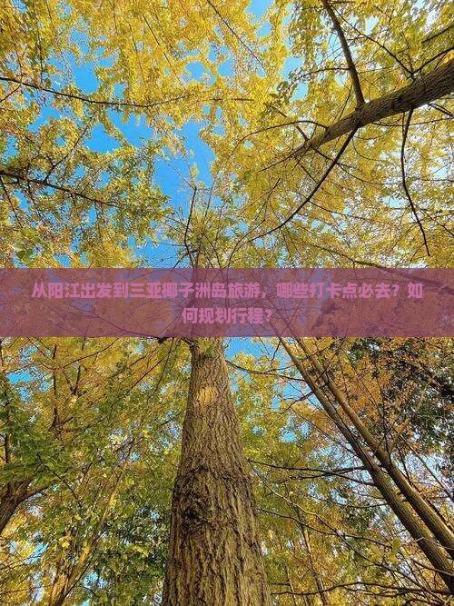 从阳江出发到三亚椰子洲岛旅游，哪些打卡点必去？如何规划行程？