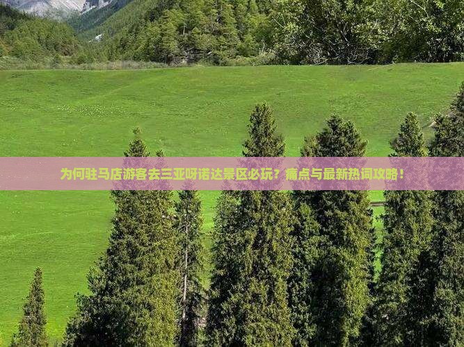 为何驻马店游客去三亚呀诺达景区必玩？痛点与最新热词攻略！