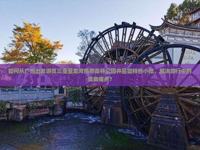 如何从广州出发游览三亚亚龙湾热带森林公园并品尝特色小吃，解决旅行中的美食痛点？