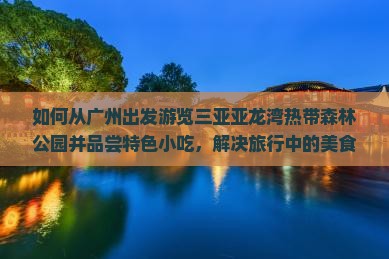 如何从广州出发游览三亚亚龙湾热带森林公园并品尝特色小吃，解决旅行中的美食痛点？