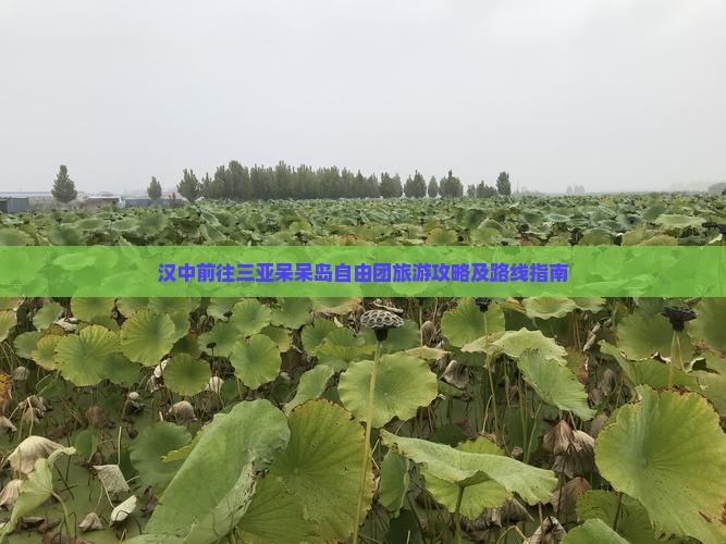 汉中前往三亚呆呆岛自由团旅游攻略及路线指南