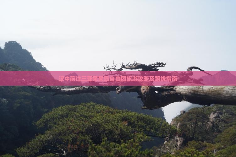 汉中前往三亚呆呆岛自由团旅游攻略及路线指南