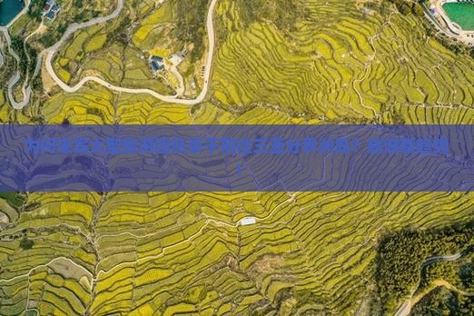 为何来宾大型旅游团热衷于前往三亚分界洲岛？旅游新趋势！
