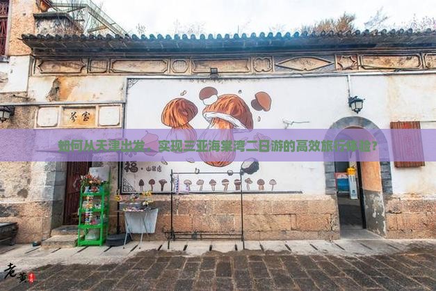 如何从天津出发，实现三亚海棠湾二日游的高效旅行体验？