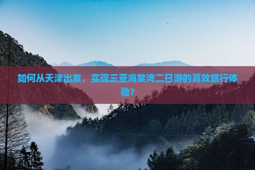 如何从天津出发，实现三亚海棠湾二日游的高效旅行体验？
