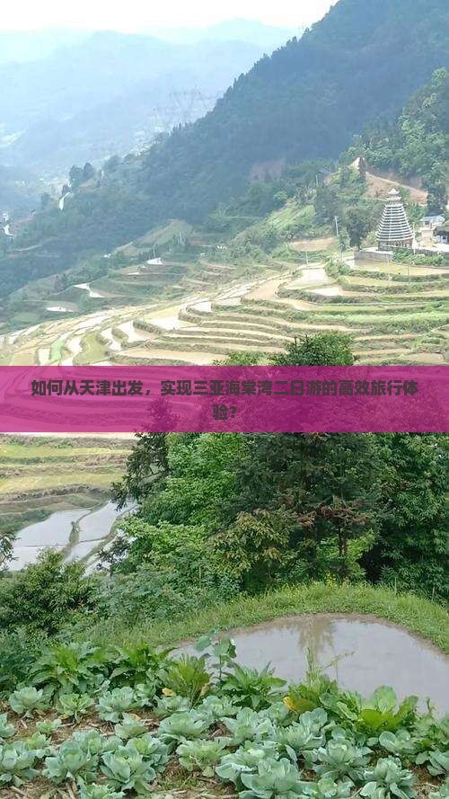 如何从天津出发，实现三亚海棠湾二日游的高效旅行体验？