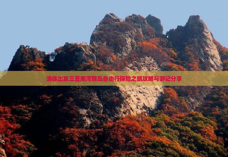 清徐出发三亚南湾猴岛自由行探险之旅攻略与游记分享