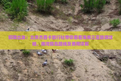 铜陵出发：北京杰西卡旅行社带你看看海南三亚旅游攻略，南湾猴岛路线及费用详解