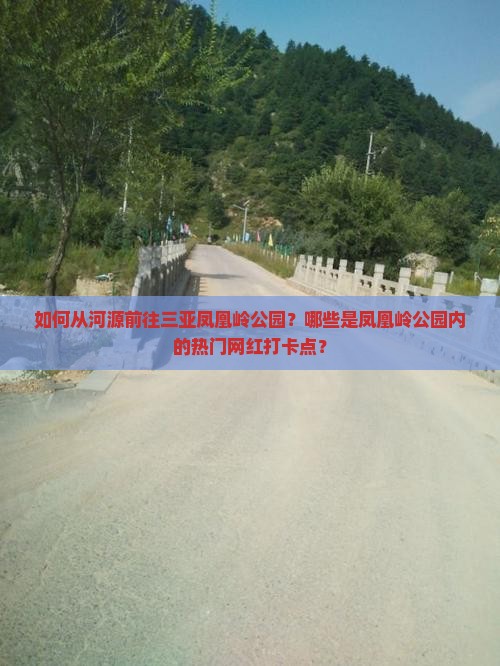 如何从河源前往三亚凤凰岭公园？哪些是凤凰岭公园内的热门网红打卡点？