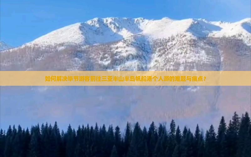 如何解决毕节游客前往三亚半山半岛帆船港个人游的难题与痛点？