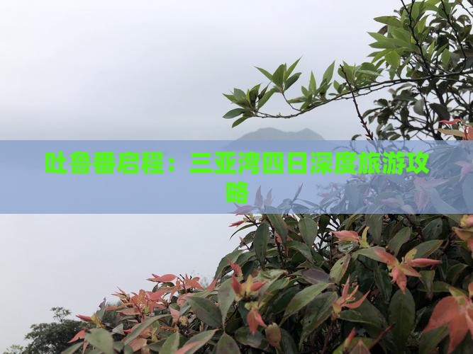 吐鲁番启程：三亚湾四日深度旅游攻略