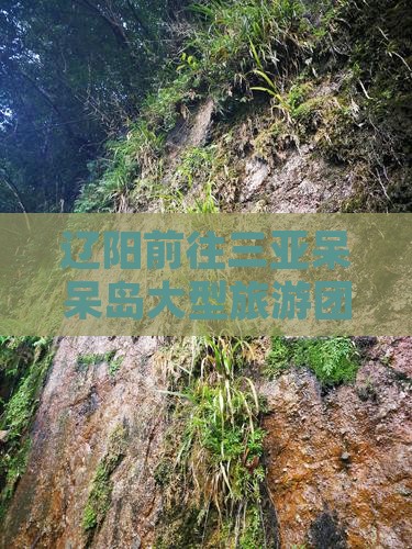 辽阳前往三亚呆呆岛大型旅游团路线指南
